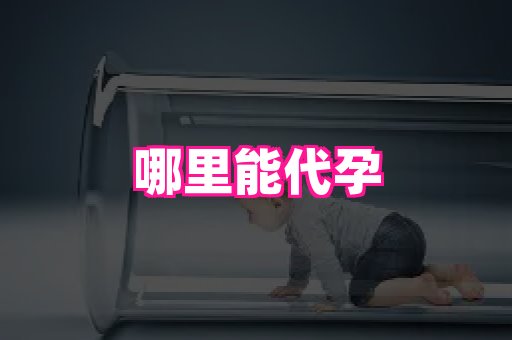 821孕网 1