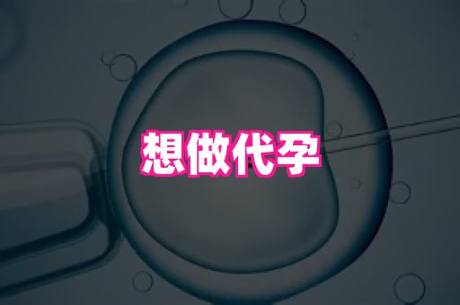 821孕网 4